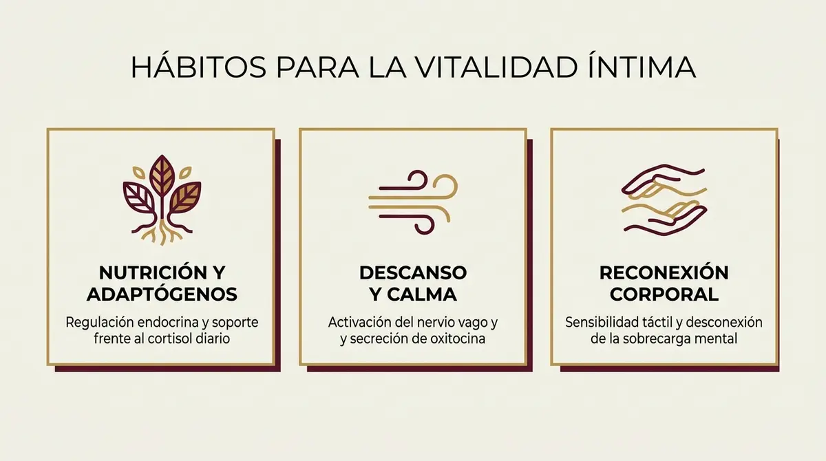 Infografía de hábitos esenciales para equilibrar el organismo y reactivar la libido femenina